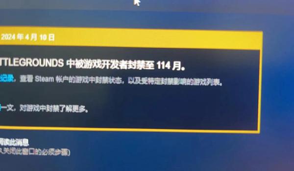 绝地求生一晚上辅助会封号吗