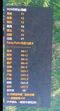 绝地求生澳龙辅助