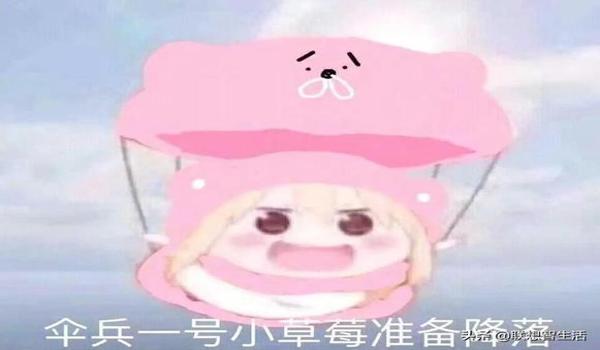 绝地求生亡灵辅助怎么用（绝地求生亡灵辅助的安装步骤是什么？）