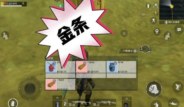 PUBG刷金条辅助器怎么下（如何选择合适的pubg刷金条辅助器？）
