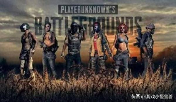 pubg苹果怎么下载辅助软件（下载pubg辅助软件时需要注意哪些安全问题？）