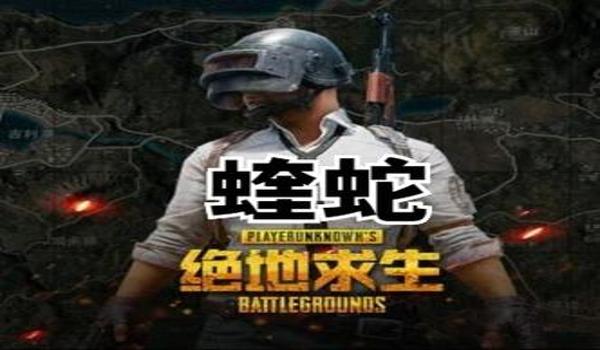 绝地求生辅助之宝怎么获得