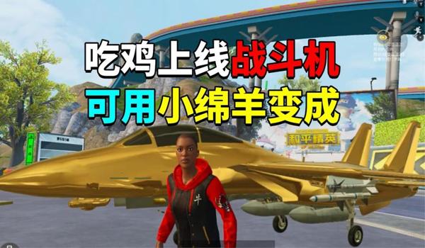 吃鸡辅助战斗模式有什么用的