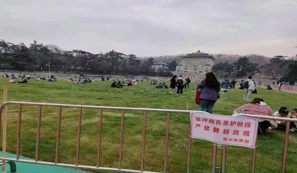 绝地求生柯基辅助怎么开