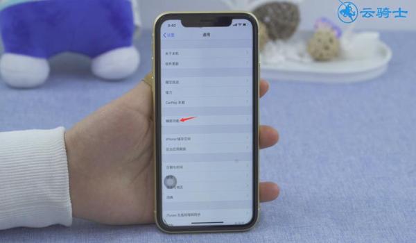 苹果怎么开绝地求生辅助功能（绝地求生辅助功能有哪些具体的使用技巧？）