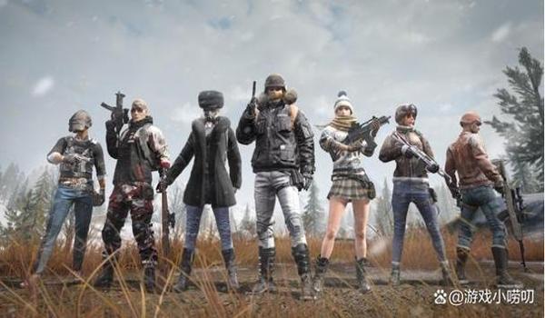 pubg怎么看队友