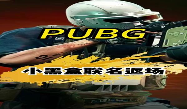 西柚pubg是外挂吗（如何判断西柚pubg是否属于外挂？）