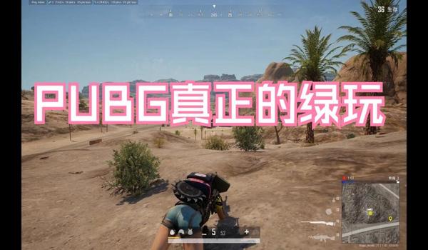 小刀辅助绝地求生透视怎么设置（小刀辅助绝地求生透视功能有哪些具体设置选项？）