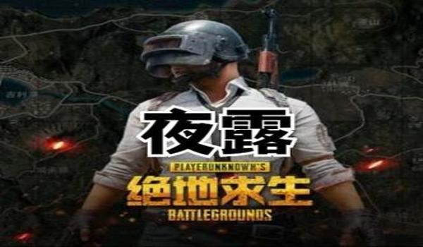 绝地求生内部追踪辅助怎么用（绝地求生内部追踪辅助的基本概念是什么？）