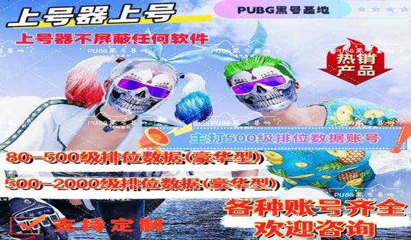 绝地求生无形内部辅助怎么用（绝地求生无形内部辅助的安装步骤是什么？）