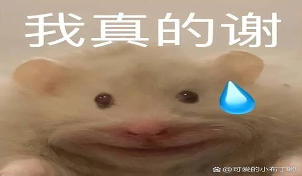 绝地求生皇冠辅助是什么