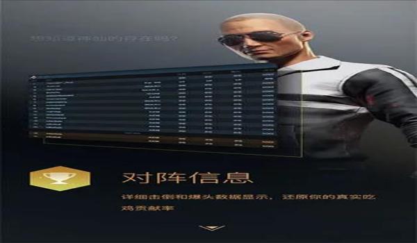 绝地求生神佑辅助是什么（绝地求生神佑辅助的基本功能有哪些？）